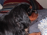 Sampson 041